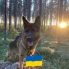 peterstenberg76 - @peterstenberg76 - TikTok