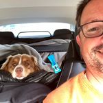 Peter Steuerwald - @pete_taxwood - Instagram