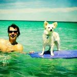 Peter Stickler - @peterstickler - Instagram