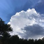 Peter Stickler - @peterstickler2021 - Instagram