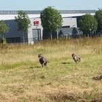 Peter Stolk - @stolkpw - Instagram
