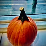 Peter Pitt Stoller - @_loaf_of_bread__ - Instagram