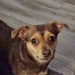 Tracy Stonefield-Peters - Facebook