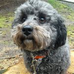 Peter Storms - @seymour_chubasco - Instagram