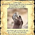 Peter Stoßmeister - @peterstossmeister - Instagram