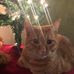 Peter Stover - Facebook