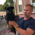 Peter Stråhle - @strahlepeter - Instagram