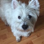 Peter Stratton - @stratton_peter - Instagram