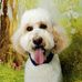Peter Straub - Facebook