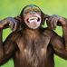 Peter Straughan - Facebook