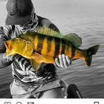 Peter Straus - @p_straus - Instagram