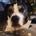 Peter Strauss - @peter.strauss.735 - Instagram