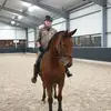 peterstraus61 - @peterstraus61 - TikTok