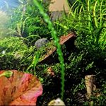 Peter Strawn - @peter29030 - Instagram