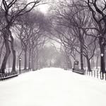 Peter Streck - @1893_ps - Instagram