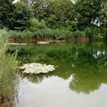 Peter Stritzinger - @peter.stritzinger.9 - Instagram