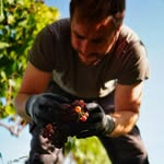 Peter Strohm - @ptrstrhm - Instagram