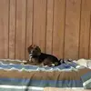 peterstrutzenberg - @peterstrutzenberg - TikTok