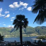 Peter Stucki - @peterstucki1 - Instagram