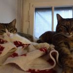 Peter Stucki - @peter.2544 - Instagram
