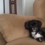 Peter Sturmfels III - @pacerrim - Instagram