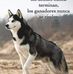 Peter Suchite - Facebook