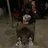 pete - @peterrrsucks - TikTok