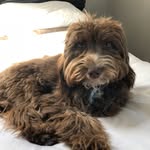 Peter Sugarman - @sugarman.peter - Instagram