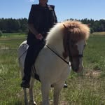 Peter Sundbom - @petersundbom1 - Instagram