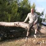 Peter Sundelin - @petersundelin - Instagram
