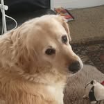 peter sundquist - @1234stomper16 - Instagram