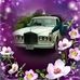 Peter L. Surek - Facebook