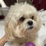 Peter - @peter.is.sweet - Instagram