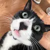 Peter._.stacks - @peter._.stacks - TikTok