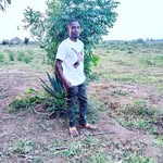 petertamba - @petertamba2 - Instagram
