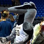 Peter The Anteater™ - @petertanteater - Instagram
