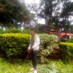 Peter Tango - @petertango391 - Instagram
