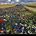 Peter Tango - Facebook