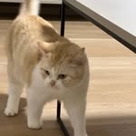 Peter Tao - @taoqifa86 - Instagram