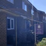 Peter & Tara’s Renovation 💜 - @pttrenovation - Instagram