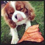 Peter Tarpey - @petertarpey - Instagram