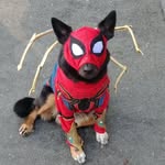 Peter Atticus Arvin Egan - @puppypeterparker - Instagram