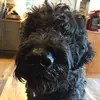 petertassone287 - @petertassone287 - TikTok