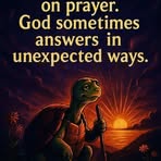 Peter Taylor - Facebook