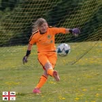 Peter Taylor - @petertaylor9728 - Instagram