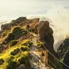 Peter Tejada - @peter.tejada0 - TikTok