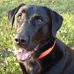 Peter Teller - Facebook