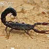 Peter Teo - @peter.teo6 - TikTok