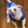 Peter Teopl - @peter.teopl - TikTok
