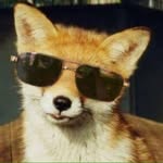 Peter Thiede - @fuchs_the_fox - Instagram